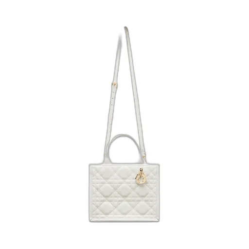 Small Dior Book Tote
