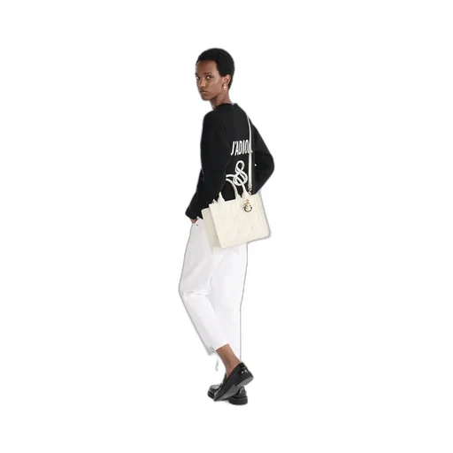Small Dior Book Tote