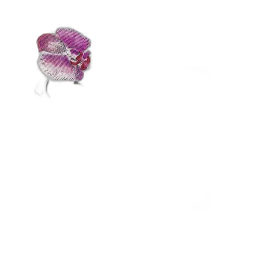 Abcdior O OrchidÉE - Ombre Mitzah Scarf