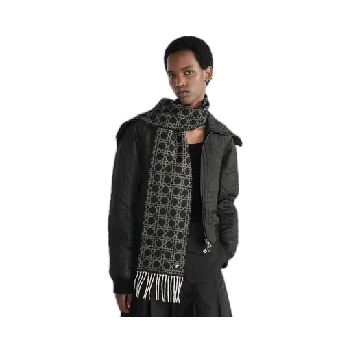 Dior Cannage Scarf