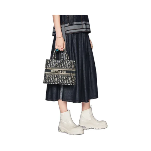 Small Dior Book Tote