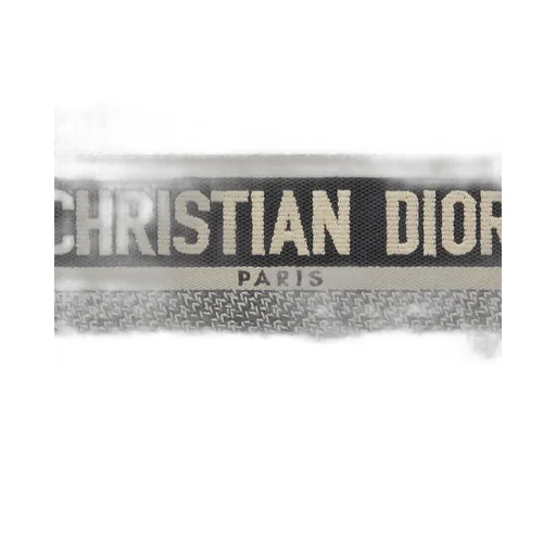 Small Dior Book Tote