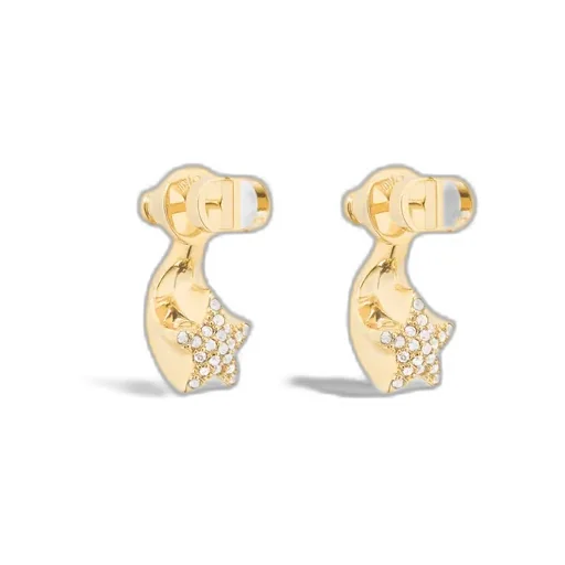 Dior Star Earrings