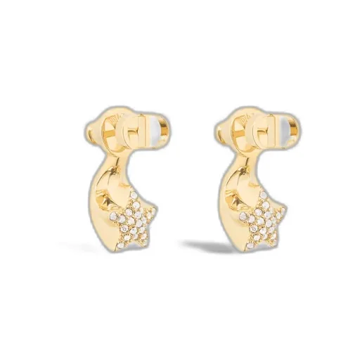 Dior Star Earrings