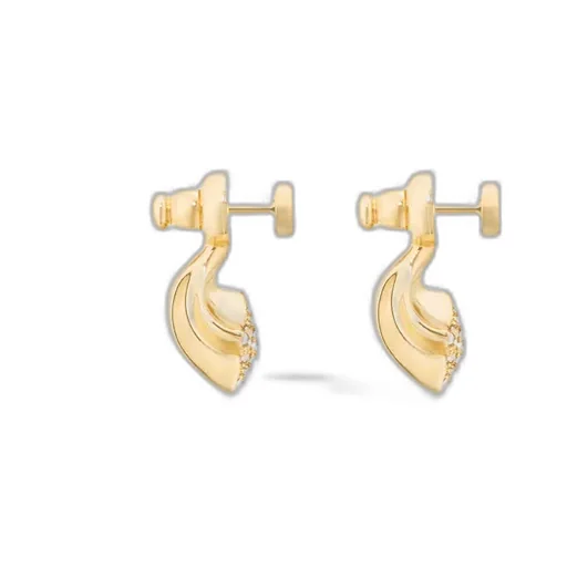 Dior Star Earrings