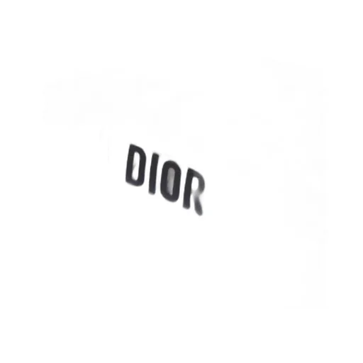 Dior Vibe Sneaker