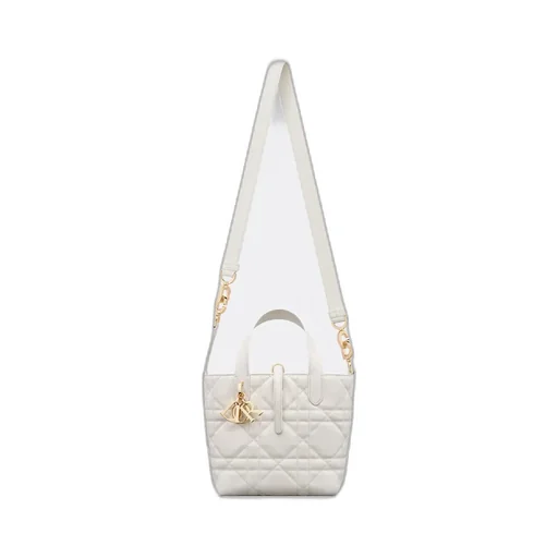 Small Dior Toujours Vertical Tote Bag