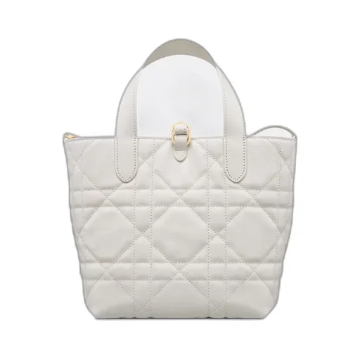 Small Dior Toujours Vertical Tote Bag