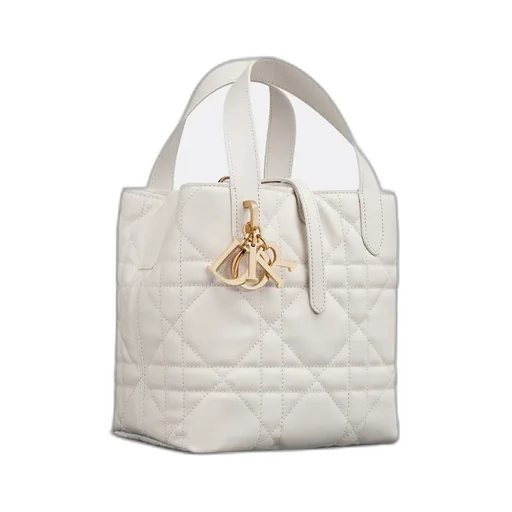 Small Dior Toujours Vertical Tote Bag