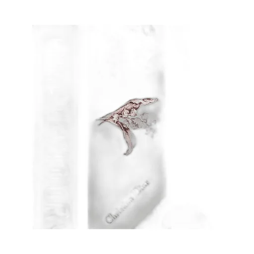 Dior Alphabet Mitzah Scarf