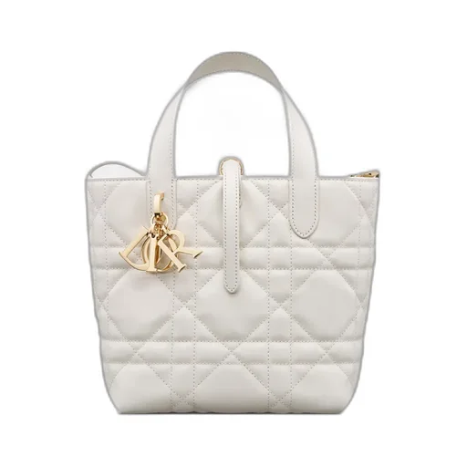 Small Dior Toujours Vertical Tote Bag