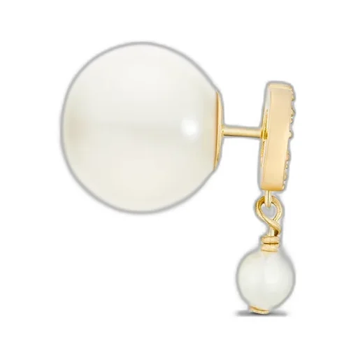 Dior Tribales Earrings