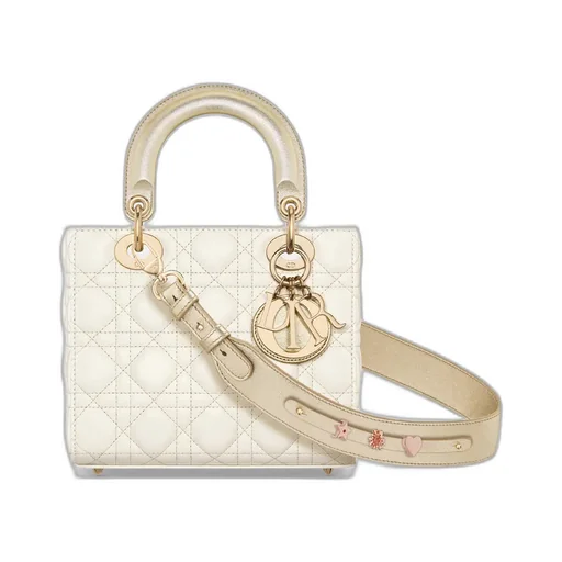 Small Lady Dior My Abcdior Bag
