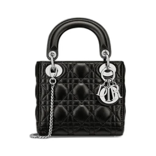 Mini Lady Dior Bag