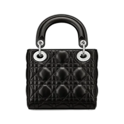 Mini Lady Dior Bag
