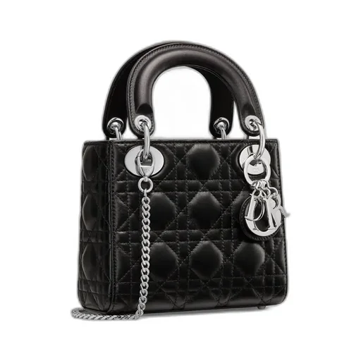 Mini Lady Dior Bag