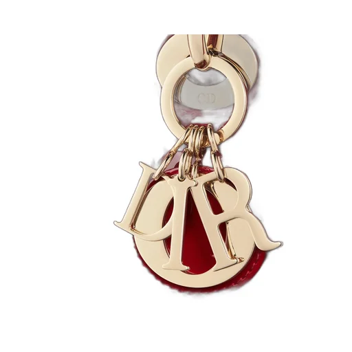 Mini Lady Dior Bag