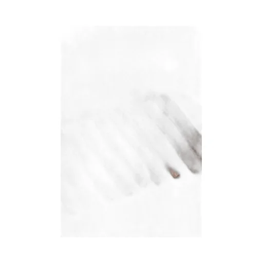Max Mara Wsdalia Logo Embroidered Fringed Edge Scarf