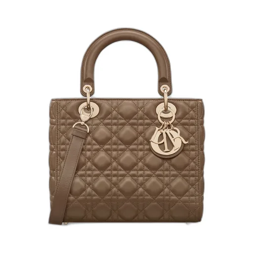 Medium Lady Dior Bag