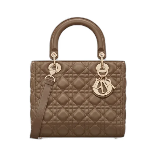 Medium Lady Dior Bag