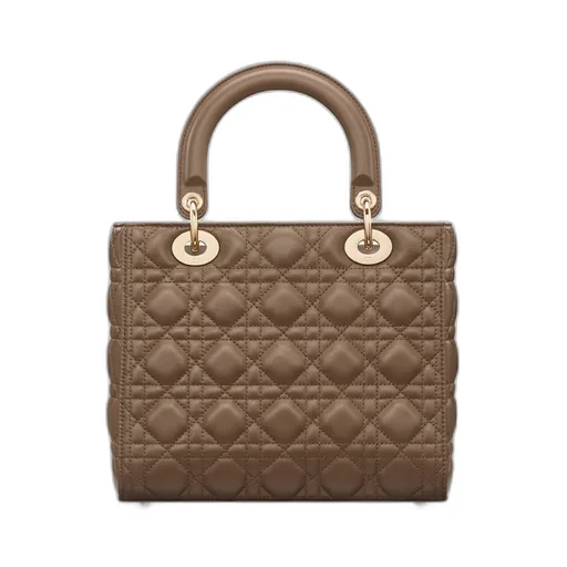 Medium Lady Dior Bag