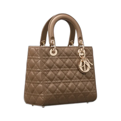 Medium Lady Dior Bag