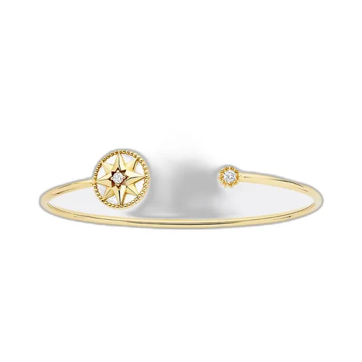 Rose Des Vents Bracelet