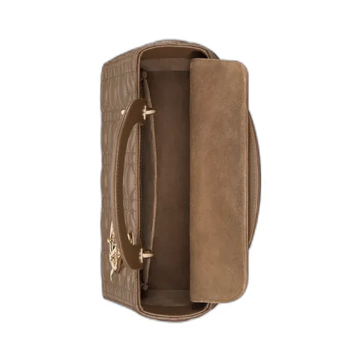 Medium Lady Dior Bag