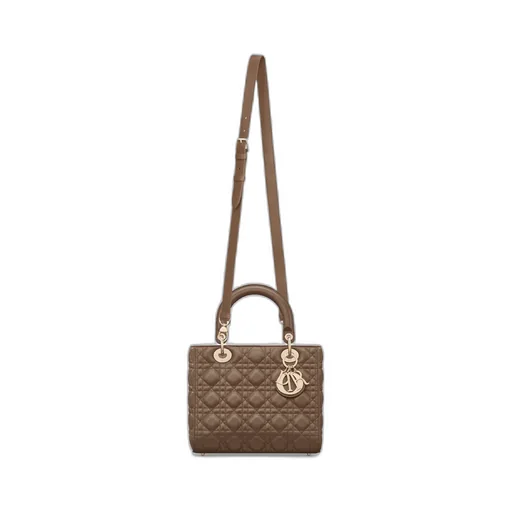 Medium Lady Dior Bag