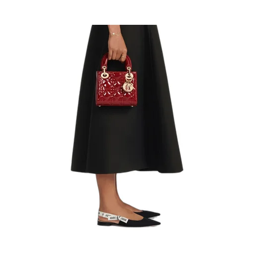 Mini Lady Dior Bag