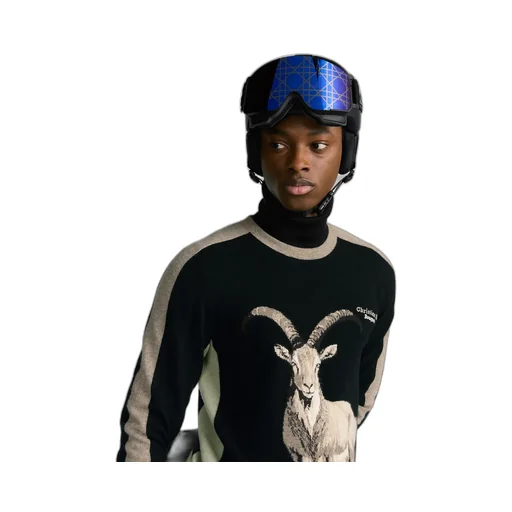 Dior And Poc Ski Goggles - Regular Fit