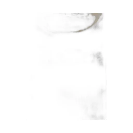 Max Mara Pentola Sleeveless Knitted Top