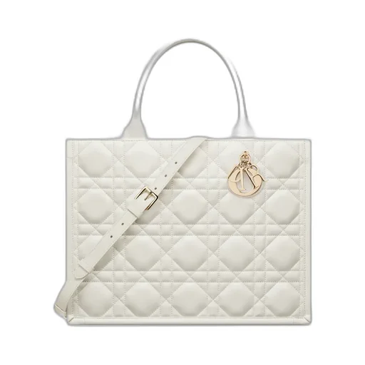 Medium Dior Book Tote