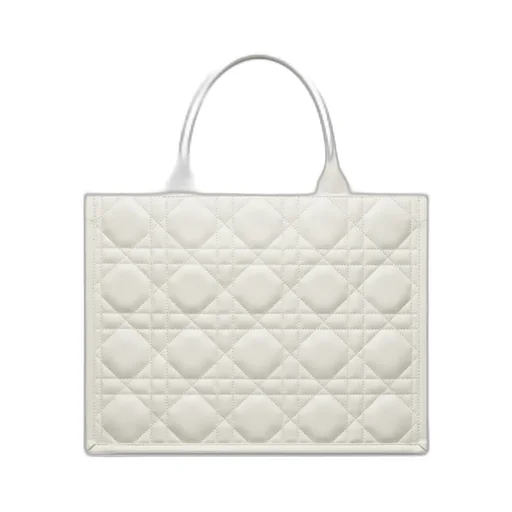 Medium Dior Book Tote