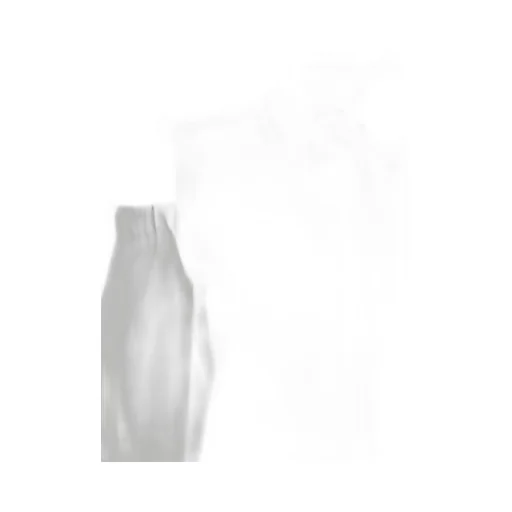 Max Mara Ragni Cut-Out Button-Up Shirt