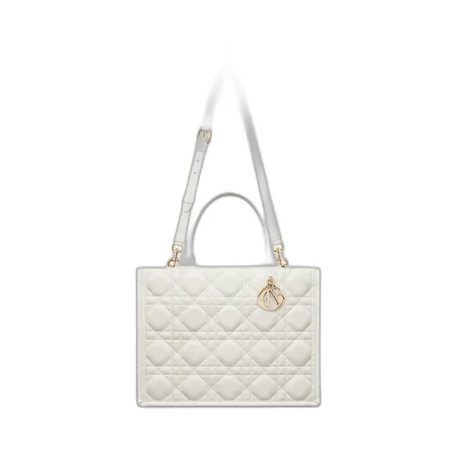 Medium Dior Book Tote