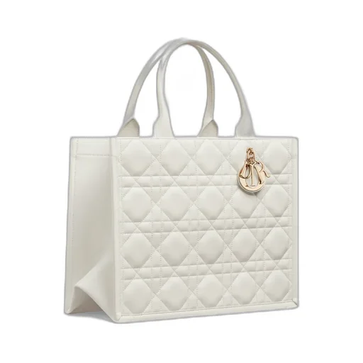 Medium Dior Book Tote