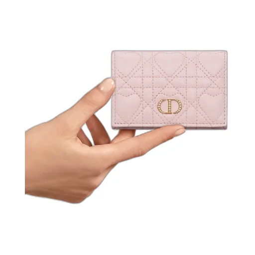 Dior Caro Glycine Wallet