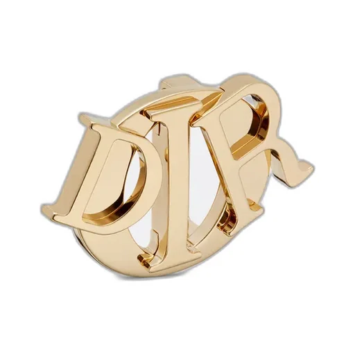 Dior Charm Belt Buckle