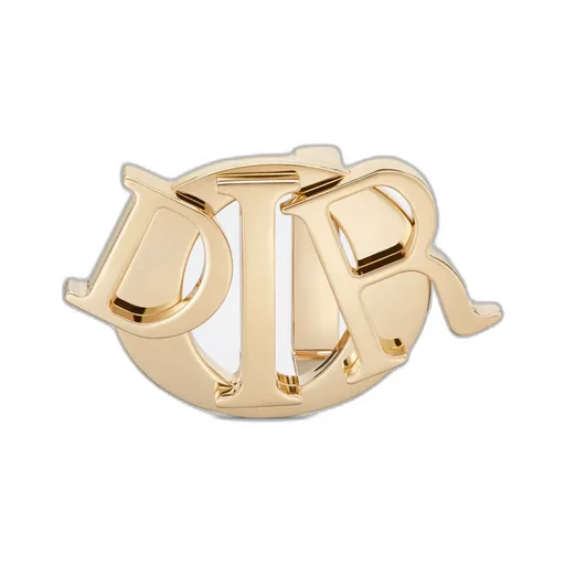 Dior Charm Belt Buckle