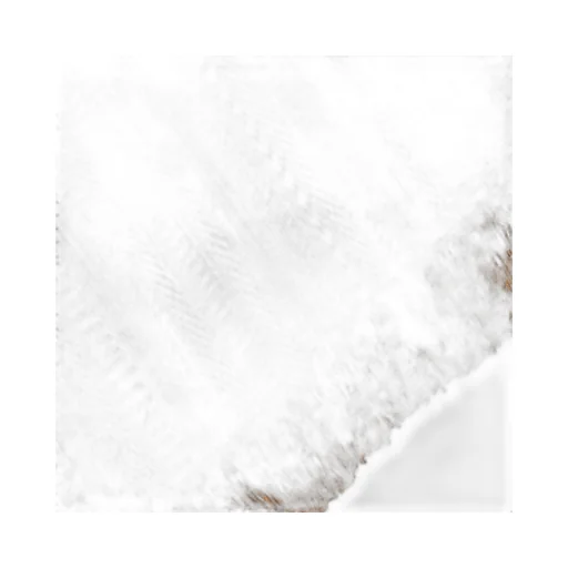 Max Mara Fringed Edge Scarf