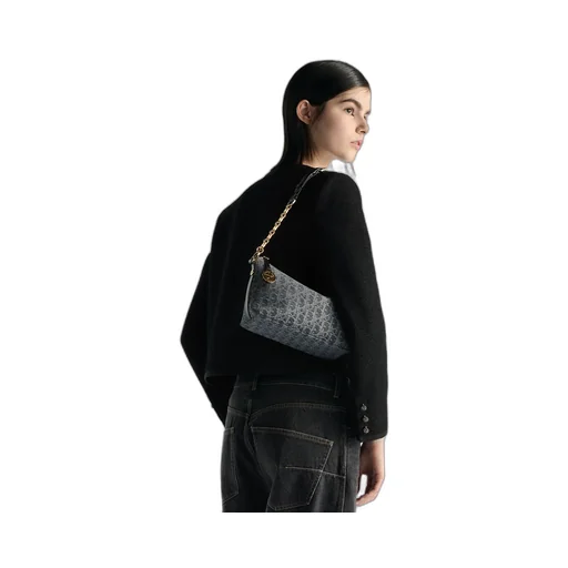 Diorstar Hobo Bag With Chain