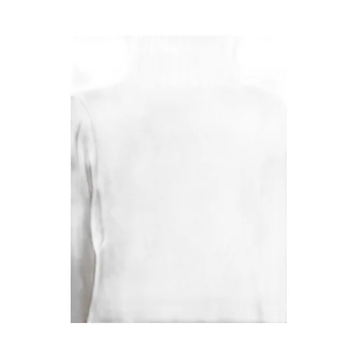 Max Mara Turtleneck Knitted Jumper