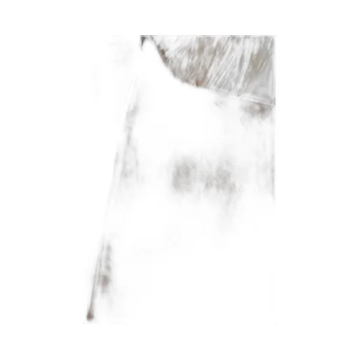 Max Mara Segnale Single-Breasted Jacket