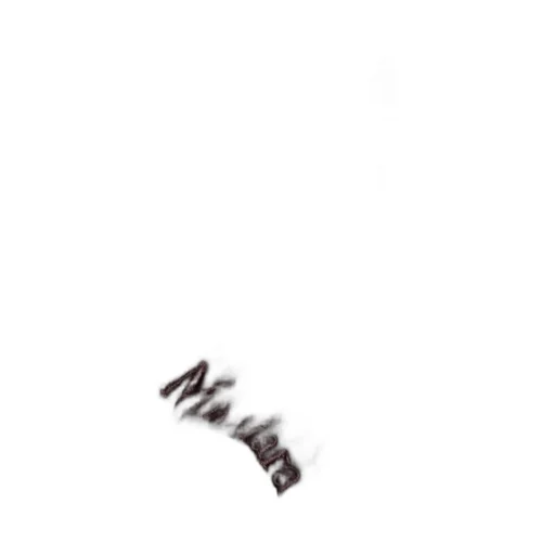 Max Mara Logo Embroidered Fringed Scarf
