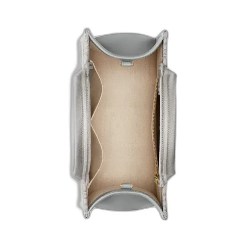 Small Dior Book Tote