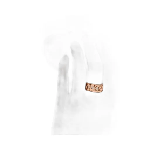 My Dior Ring