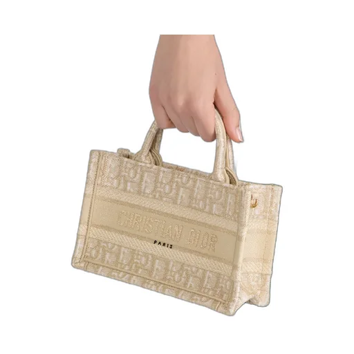 Mini Dior Book Tote