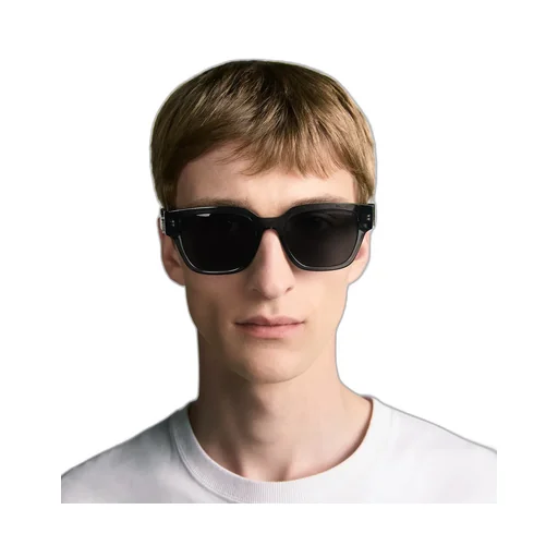 Dior Oblique S1I