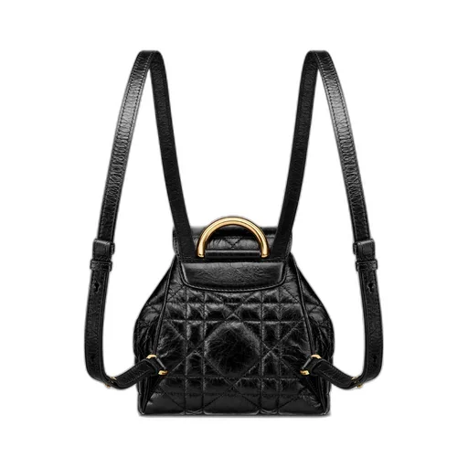 Small Dior Caro Backpack